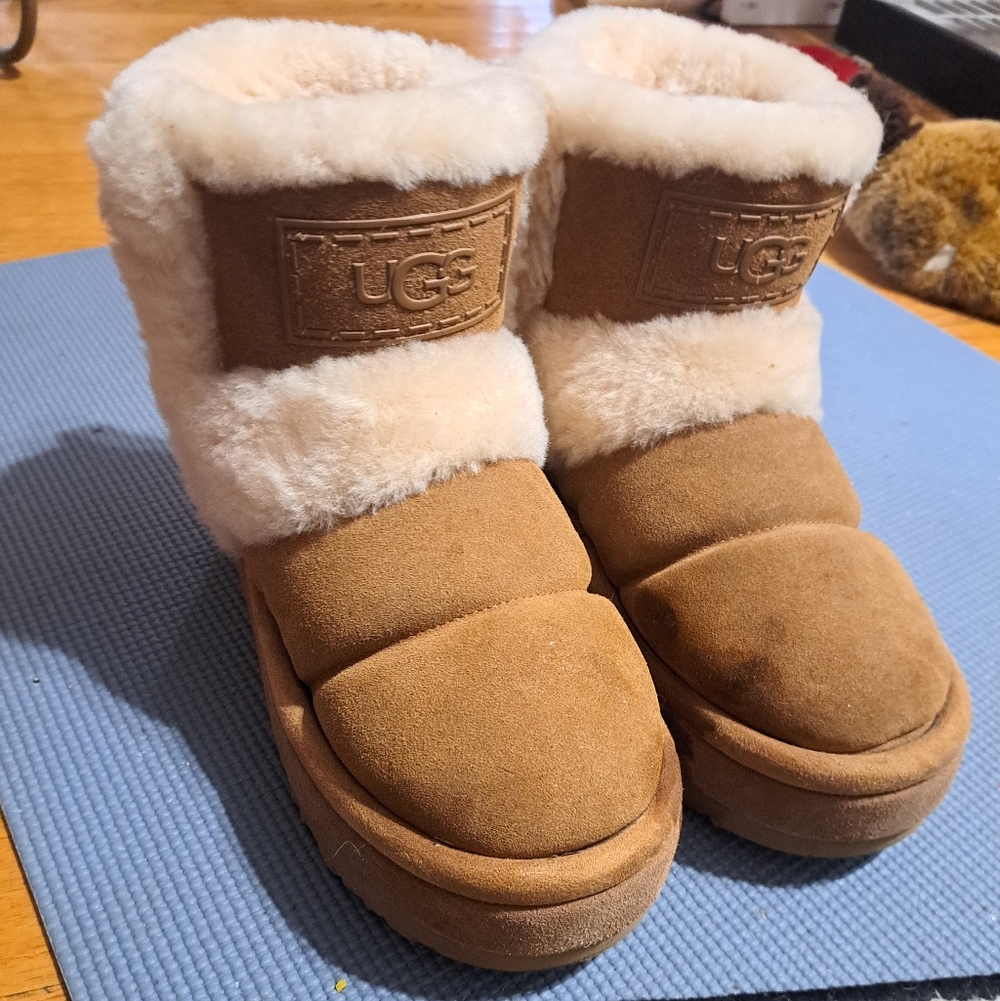 UGG Chestnut Shearling Cuff Suede Booties! NWOT!